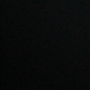 Meet your Posher, Raizy